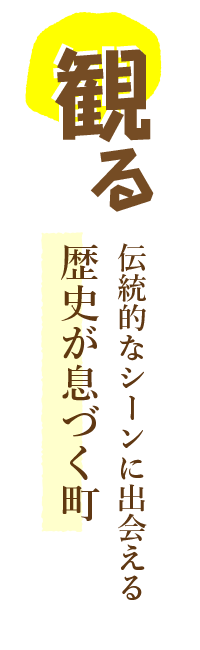 観る