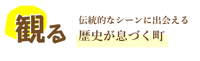 観る